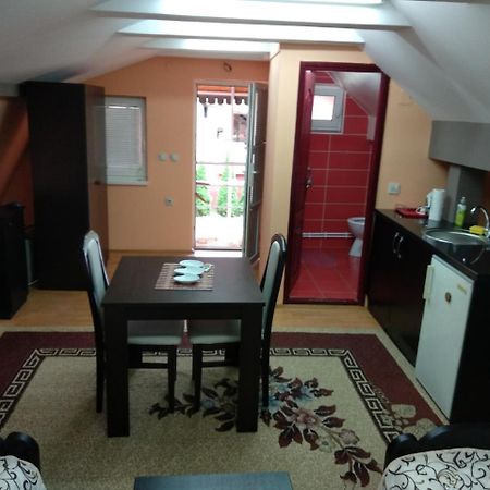 Small Apartment At Center Of The City Ниш Экстерьер фото